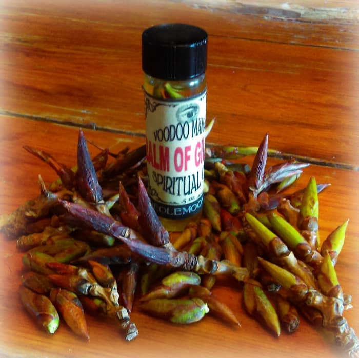 Balm of Gilead Anointing Oil