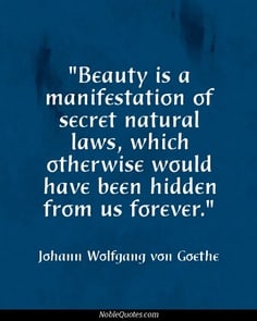 #beauty is a manifestation of secret natural laws, which otherwise would have been hidden from us forever"