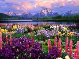 Freedom is never voluntarily given by the oppressor; it must be demanded by the oppressed. Martin Luther King, Jr.