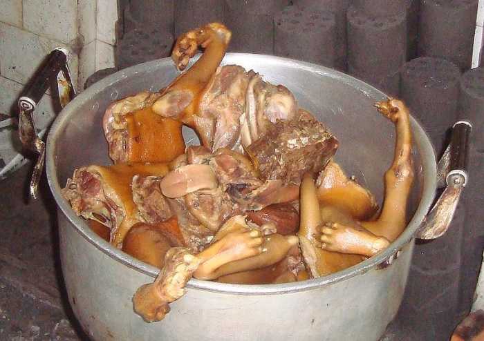 Dog Meat. What's A Meal? Look At Those Appetizing Paws, Legs, A Tongue, And Other Parts. Image Credit: Wikimedia Commons.