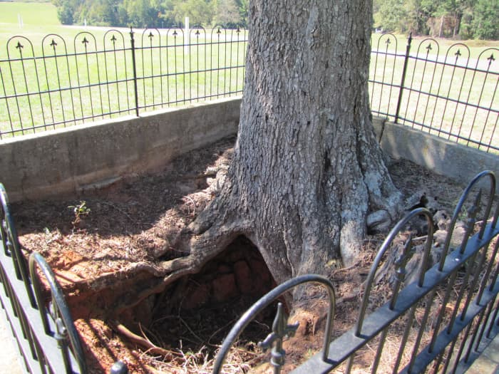 There were almost no trees in the prison stockade, but a tunnel like this could be for shelter from the burning sun or an attempt to escape.