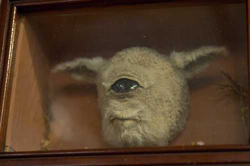 10-weird-and-unusual-things-to-see-and-do-in-washington-state