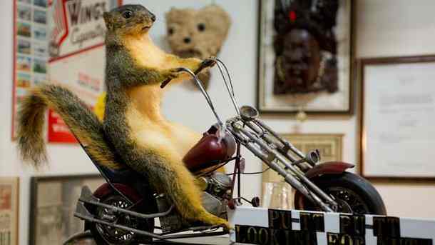 10-weird-and-unusual-things-to-see-and-do-in-washington-state