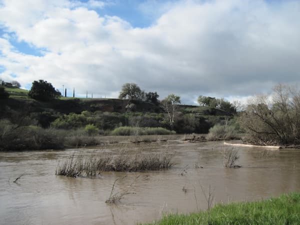 When the rains have fallen, the river flows again, flooding the small plants growing in the river bed and surrounding what are now islands again.