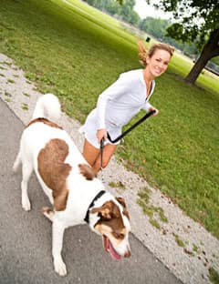 If you are walking the dog, make sure you are both walking, not stop, go, stop, photo by thecheat92t