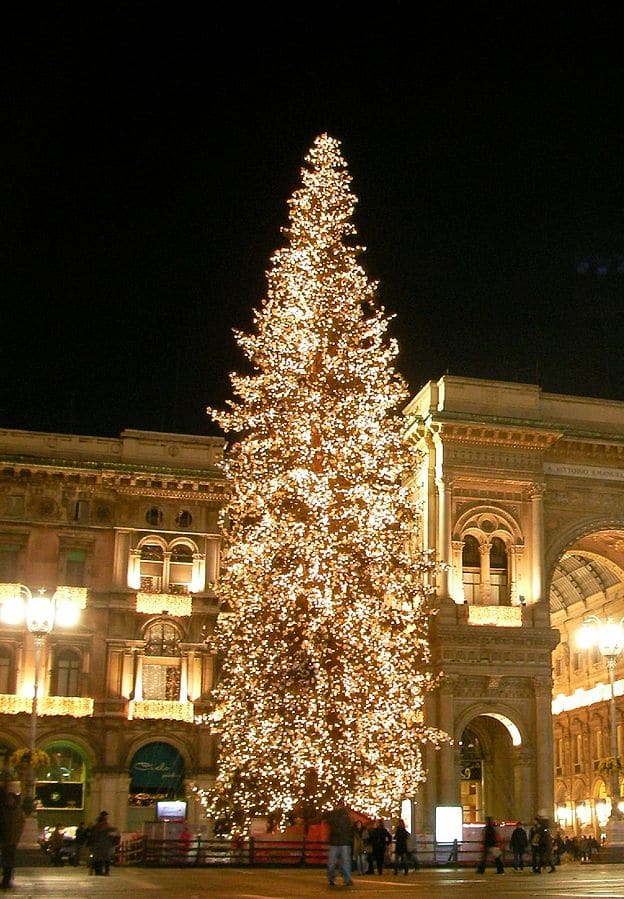 The Christmas tree of Piazza Duomo in Milan, which is incredibly beautiful!