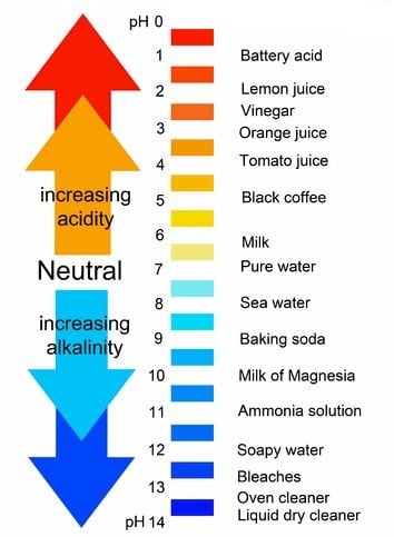 Disgusting Meat Sludge: Do You Know What You're Eating? - HubPages