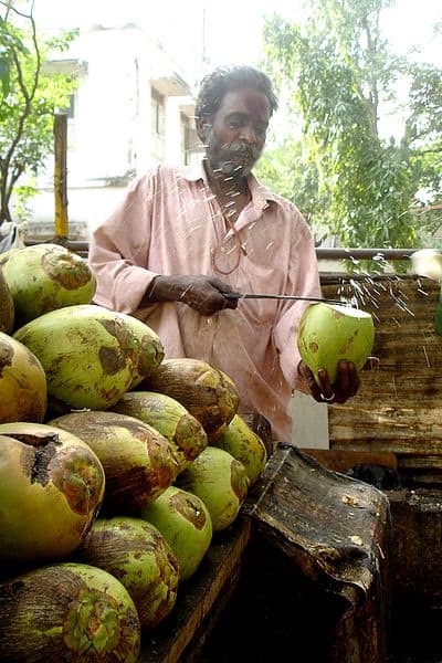 tender coconut vendor
