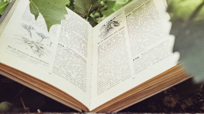 A good plant guide can be invaluble in correctly identifying herbs and other plants.