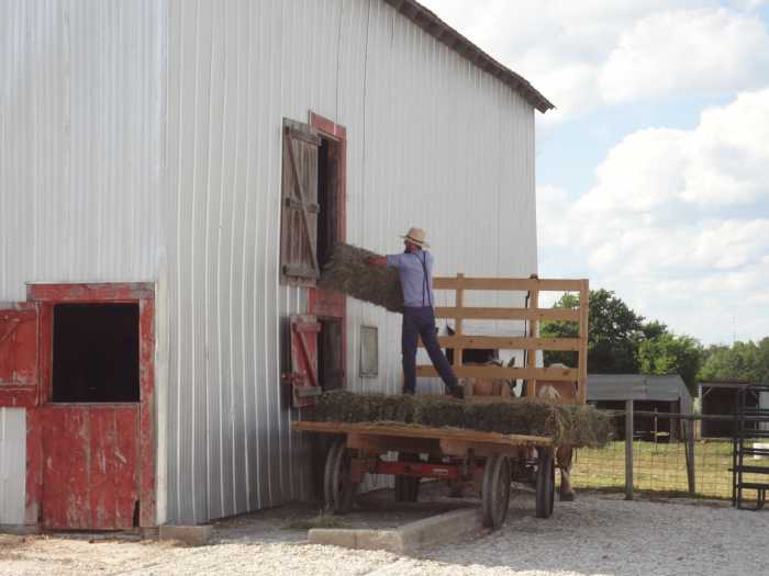A Visit With the Old Order Amish, Bowling Green, Missouri HubPages