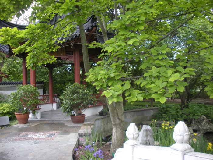 Photo 3 - Showing how you can decorate an entrance to a garden with potted plants. A Chinese Garden.