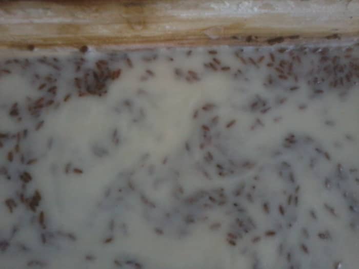 When trace is achieved, you have the option to add other things to your soap, like essential oils or dried herbs (I used lavender with this batch)
