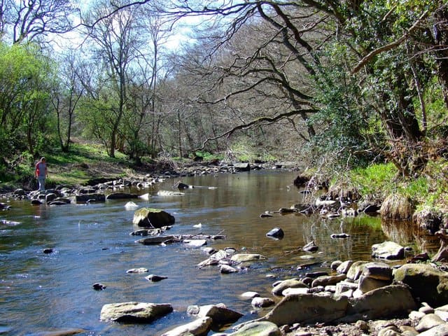 River Derwent, County Durham - there are several other rivers by this name, one in Yorkshire that runs into the Ouse at Riccall, another that runs from Staffordshire into Derbyshire where it joins the Trent
