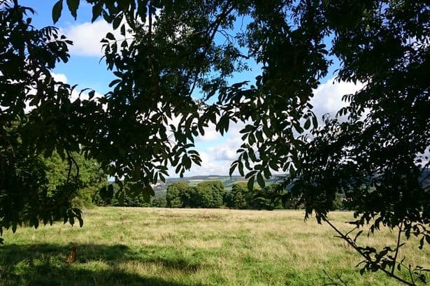 A particular part of Greencroft Woodland known as Seven Penny Meadows where 'natural interment' can be arranged for the environmentally-minded who do not wish for their remains to be left in a conventional cemetery