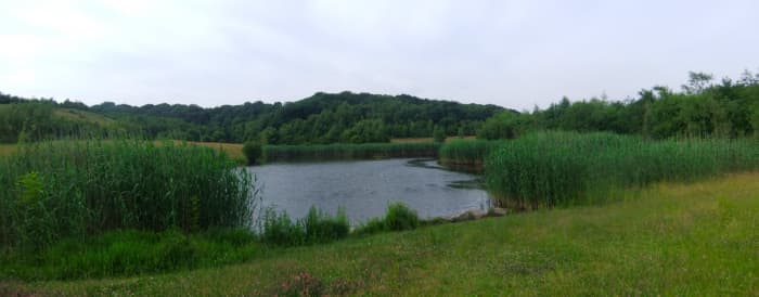 Far Pasture Wetlands is another example of 'recycling' central County Durham's industrial past