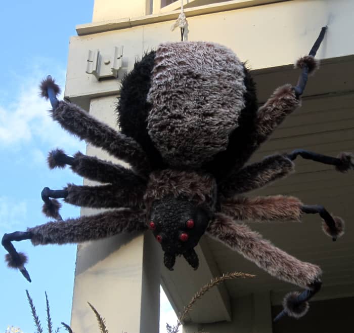 Scary or sweet? This giant spider decoration is big enough to terrify and fluffy enough to cuddle.