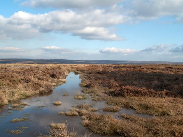 This is your walk route from the Rosedale Abbey to Castleton road - duckboards further on, then stone infill to get you past the "Blue Man i't' Moss" - and on to the Egton-Pickering road and beyond