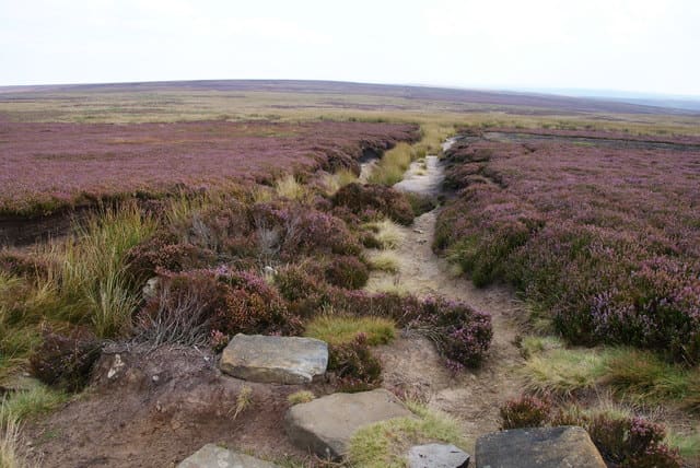 Further on eastward from Fat Betty the state of the track on Rosedale Moor calls for vigilance in avoiding injury, although the enjoyment is still there. Walkers should wear strong footwear and carry weatherproofs.
