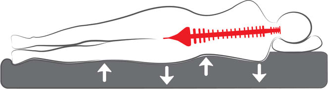 Correct sleeping body / back alignment includes the best of both worlds - strong support with softer comfort layers for pressure point relief.