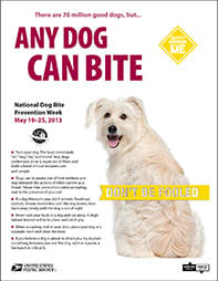 This happy pooch has obviously just lunched on a letter carrier's leg, which often contains the tastiest cuts of meat.