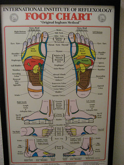 Reflexology and fertility - HubPages