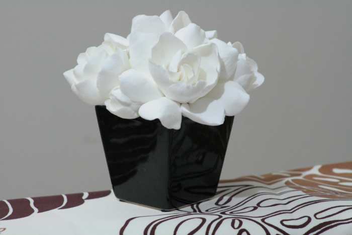 Bring your gardenia inside and make an arrangement to take full advantage of its sweet fragrance.