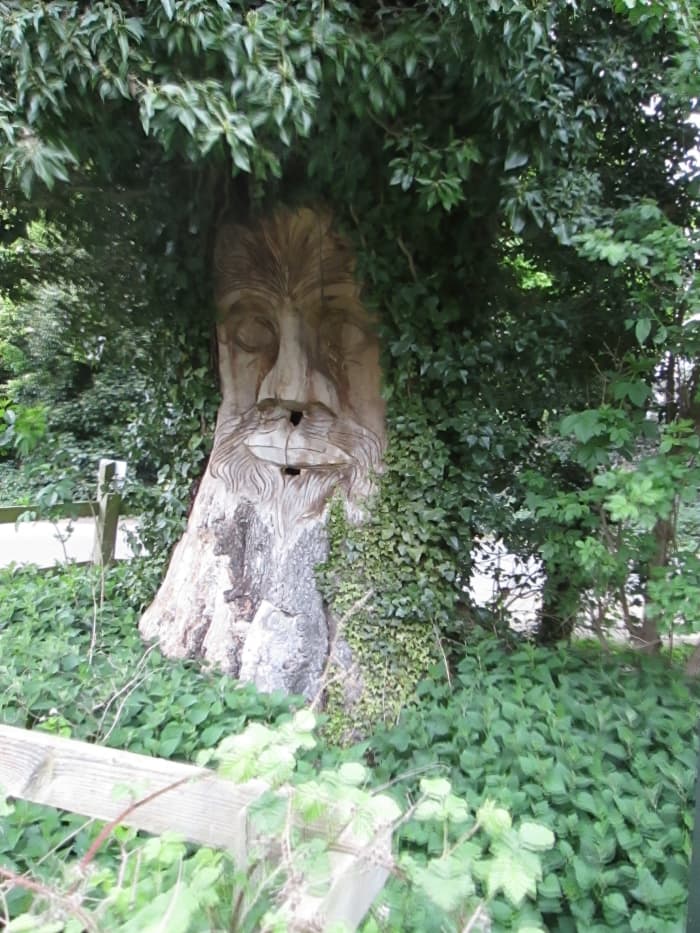 Tree sculpture in the nature park - close by the car park. The nearby trackbed is now a cycle/walking path from near the site of Nunthorpe Junction to Hutton Gate near Guisborough