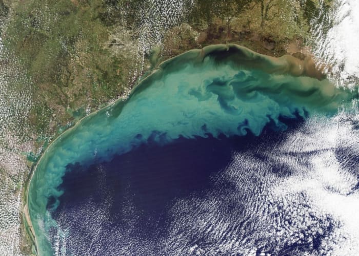 As this second photo shows taken in 2011 the Dead Zone from farm runoff is fa larger than what is shown around the delta region, covering most of the Southern US Coastline.