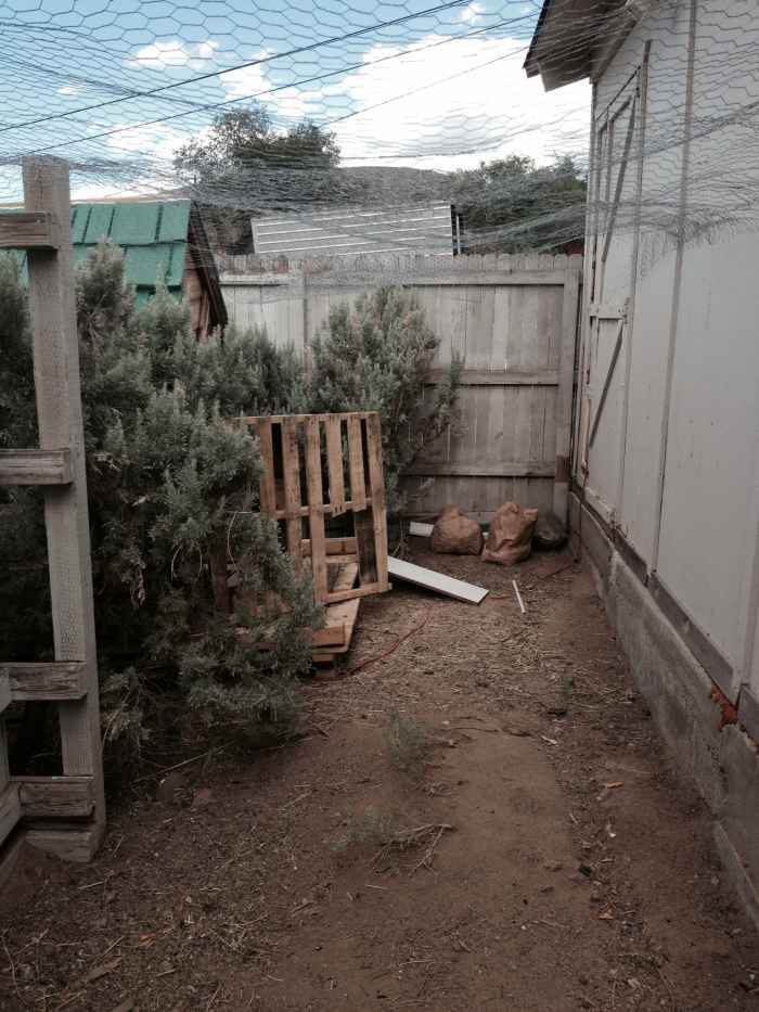 Essays poems gout 04 picture