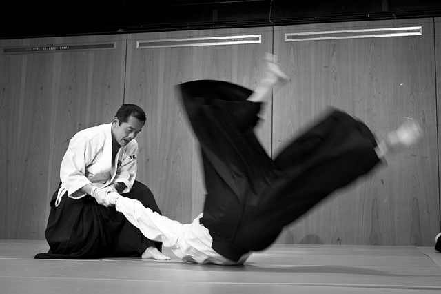 Aikido throw.