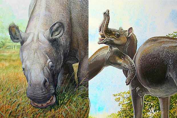 The notoungulate Toxodon (left) and the litoptern Macrauchenia (right), both of which vanished around ten thousand years ago. Art by Peter Schouten.
