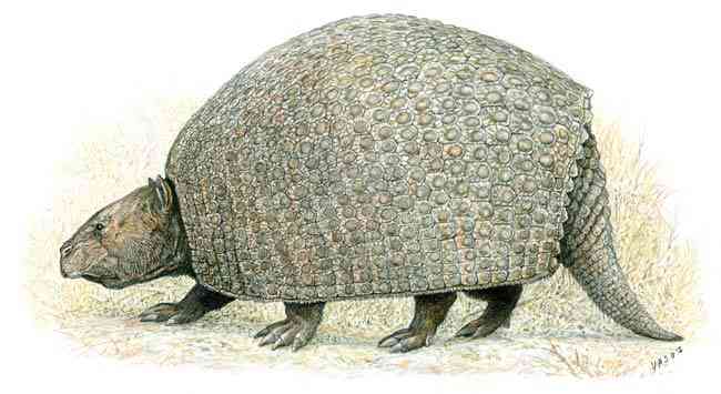 Parapropalaehoplophorus, one of the earliest and smallest known glyptodonts, as depicted by Velizar Simeonovski.