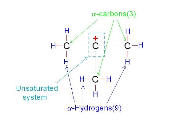 In tertiary butyl carbocation, middle carbon bearing positive charge is called unsaturated system and 3 carbon atoms joined with positively charged carbon are alpha carbons. Nine hydrogen atoms joined with each alpha carbon are called alpha hydrogen.