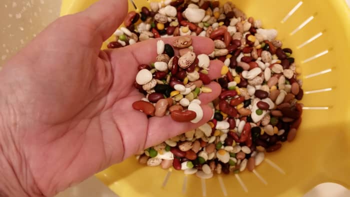 Examine the beans. Beans are an agricultural product, so it's possible for other things to get in with them. I always check, just in case.