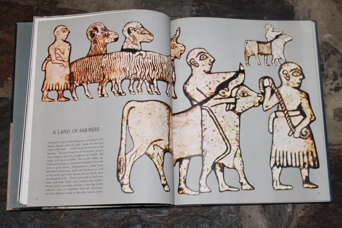Sumerian picture of shepherds and sheep from Great Ages of Man: Cradle of Civilization by Samuel Noah Kramer (Time-Life Books)