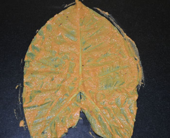Step two: Prepare taro leaves for making rolls as per instructions. Take a leaf and place it backside facing up and the leaf pointing upwards. Thinly apply the paste all over.