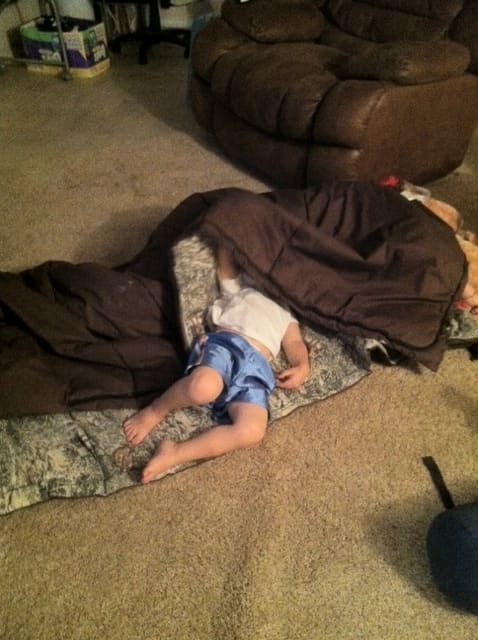 The great turtle and the great ostrich. Sometimes that is comfy, but taking life head on is better.