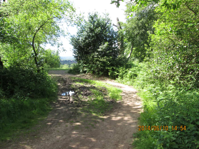 About halfway along this pathway, a branch path on the western side. After rain this part of the path turns into a quagmire. Overall, between higher points and droppings it can be boggy underfoot
