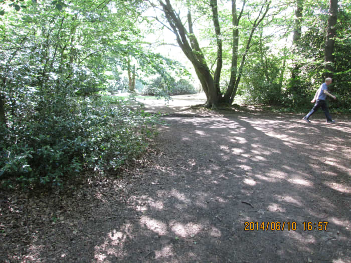 After crossing the road a bridle/footpath passes a couple of meres or small lakes. This is looking back to the bridle path from the path down through the wood to a small common