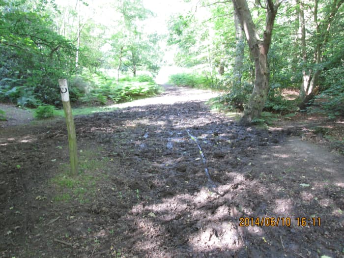 ...And this is the view looking the other way, well used by cyclists, trampled by horses...