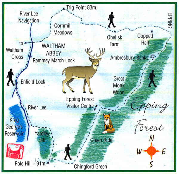 Fancy a real challenge? The Epping Forest Challenge Walk might be up your street