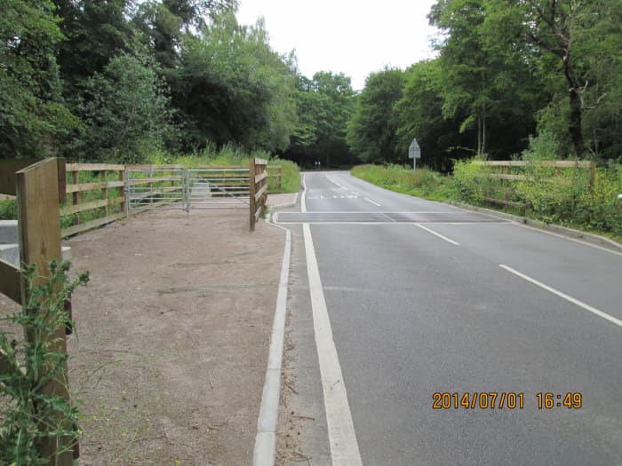 On the way out from High Beech to the Robin Hood roundabout, the cattle grid - at some time the forest herd will be allowed to roam free, some longhorns, some Highland cattle