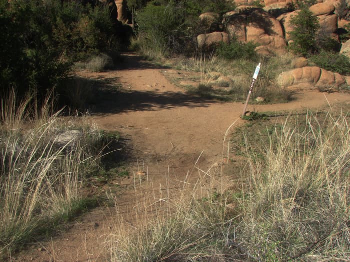 Crossroads are a common power place for Hoodoo practitioners to perform rituals and dispose of ritual remains.