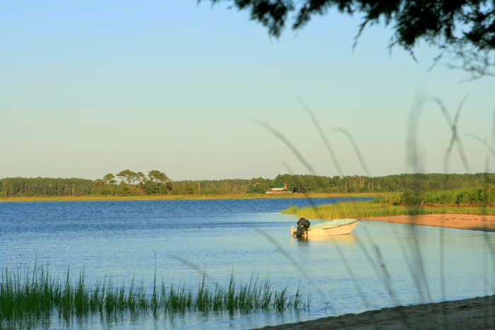 This photo was taken from a tiny, secluded island beach just off of Guards Shore, Virginia, U.S.A., where several local watermen report having sighted a very large creature while working in the bay... Might it have been Chessie?
