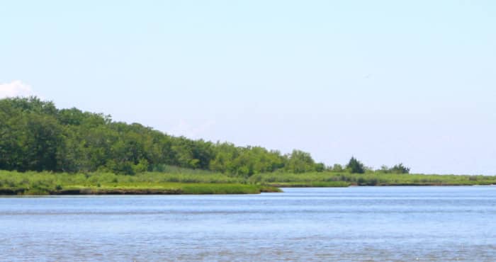 The Chesapeake Bay calmly washes the shorelines of quite a few tiny, uninhabited islands This photo was taken during a day trip out of Guards Shore, Virginia, U.S.A.