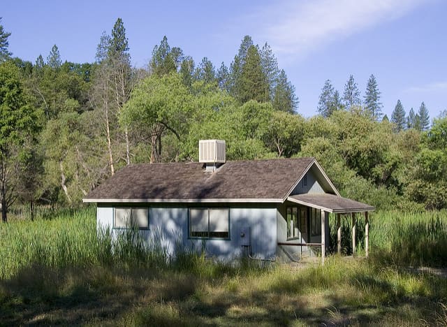 An old shack surrounded by weeds; seeming old, but looks well-kept up