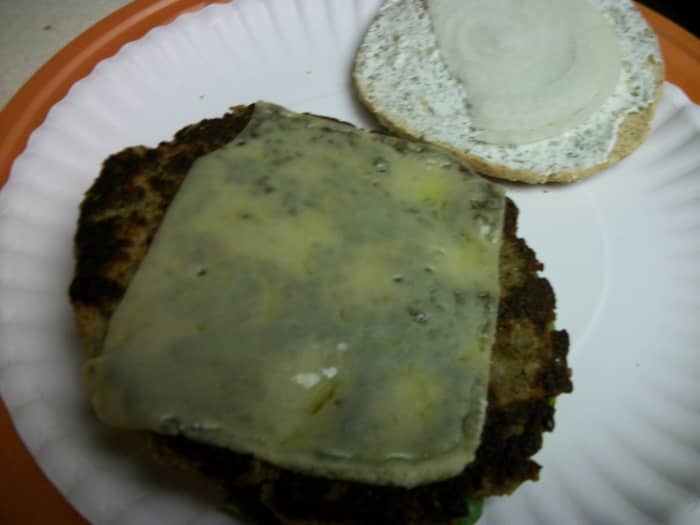 #25 Italian Vegetarian Patties. My Italian Vegetarian Patty, made with leftover cooked rice and lentils.