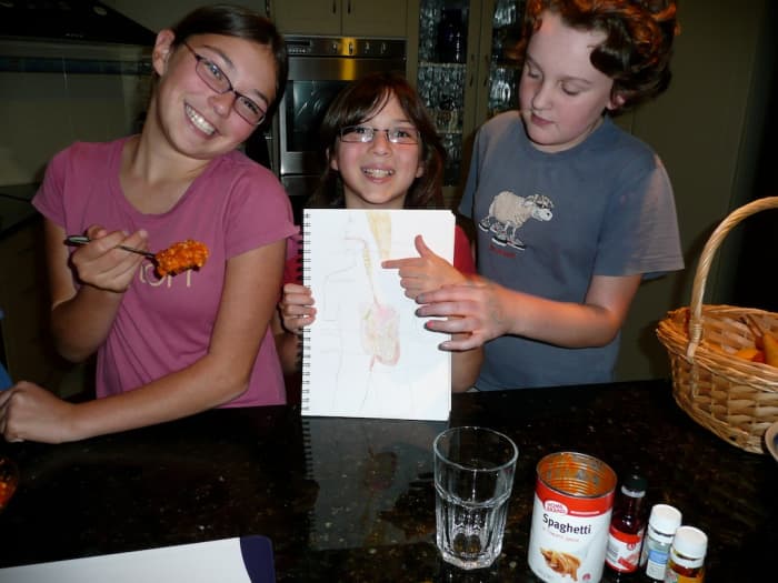 Pointing out on Sarah's drawing of the digestive system, where the food travels down the esophagus.