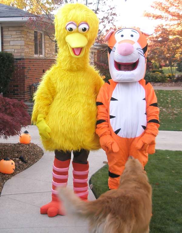 Big Bird Costumes - HubPages