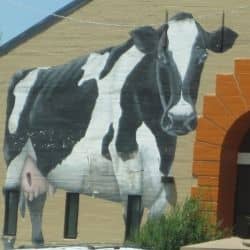 I took this photo while stopped at the traffic light at the Butler/Route 66 intersection